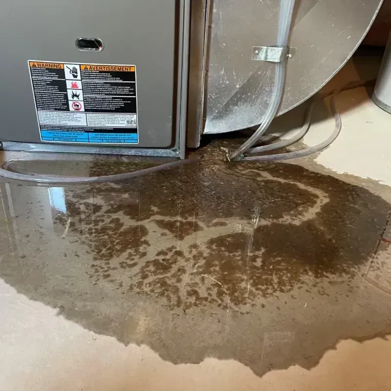 Appliance Leak Cleanup in Blaine, TN